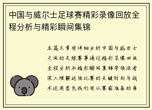 中国与威尔士足球赛精彩录像回放全程分析与精彩瞬间集锦