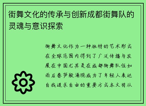 街舞文化的传承与创新成都街舞队的灵魂与意识探索